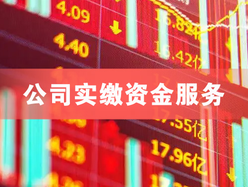 永州公司实缴资金服务